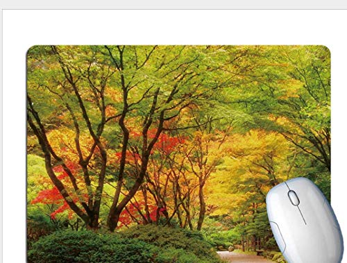 Gaming Mouse Pad, Exquisite Forest Trail, Wear-Resistant And Durable Rubber, Office Gaming Laptop Gaming Mouse Pad