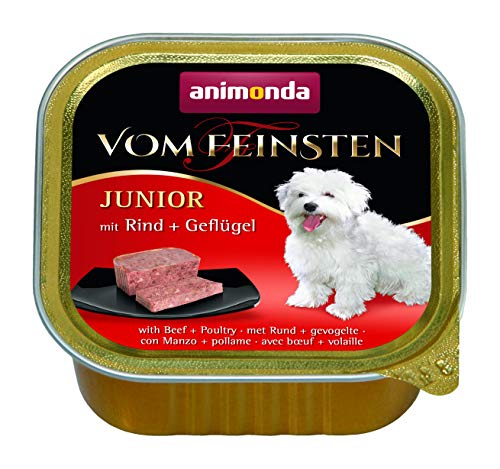 animonda Marial Junior,Comida húmeda para perros jóvenes en el primer año, Rind + Geflügel 22 x 150 g