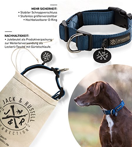 Jack & Russell Collar de perro Balu acolchado de neopreno - Collar de perro premium varios tamaños y colores (M, azul)