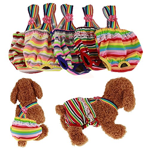 RC GearPro Pack de 2 pañales Lavables Perros, Bragas sanitarias para Mascotas con Liguero para Perras, Color al Azar (XL)