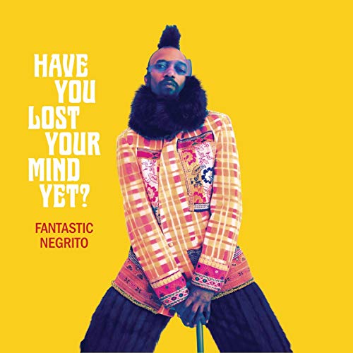 Have You Lost Your Mind Yet [Vinilo]