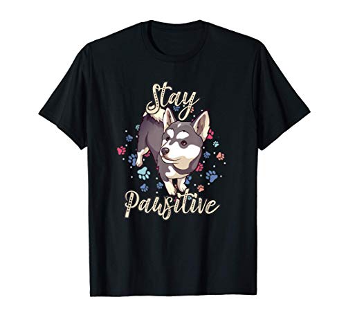 Bonito Pomsky Stay Pawsitive Cita Positiva Mini Patas Husky Camiseta
