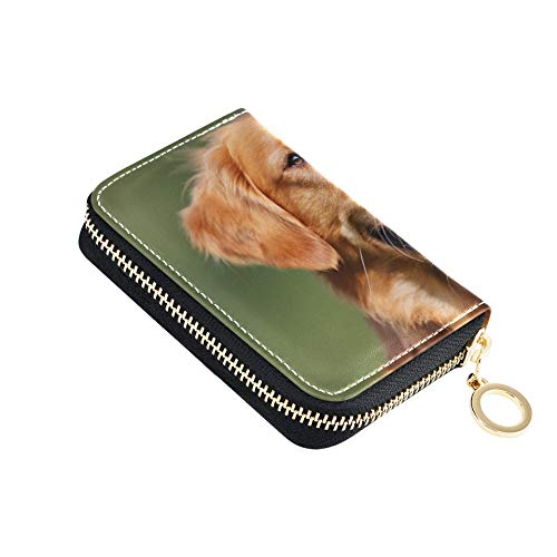 Cartera para Tarjetas de Regalo para Hombres, Perro Perdiguero de Oro de Pura Raza, al Aire Libre en Varias Carteras para Tarjetas, Cuero de la PU, con Cremallera, tamaño Compacto, Tarjetero y moned