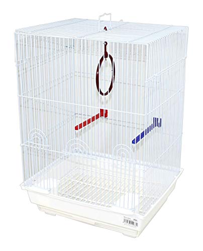 DZL- Jaula para Pájaros con comederos,Palos y Columpios 34.5 * 28 * 48CM Jaula agapornis Jaula para ninfas Pajarera Periquito Canarios DZL- Jaula para Pájaros con comederos,Palos y Columpios 34.5 * 28 * 48CM Jaula agapornis Jaula para ninfas Pajarera Periquito Canarios