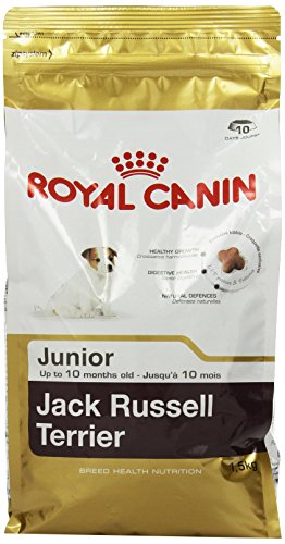 ROYAL CANIN Jack Russell Terrier Junior - 1500 gr ROYAL CANIN Jack Russell Terrier Junior - 1500 gr