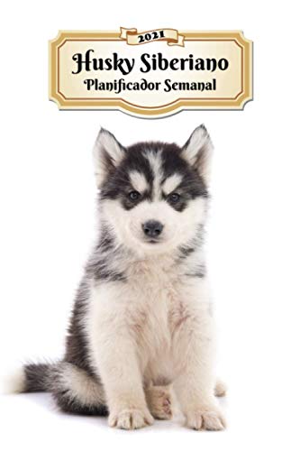 2021 Husky Siberiano Planificador Semanal: 107 Páginas | Tamaño A5 | Calendario | 12 Meses | 1 Semana en 2 Páginas | Agenda Semana Vista | Tapa Blanda | Perro