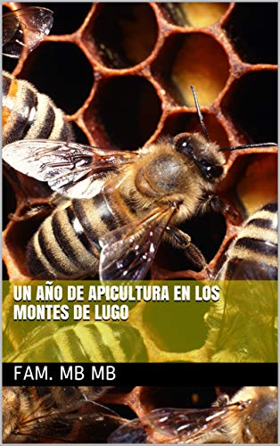 Un año de apicultura en los montes de Lugo
