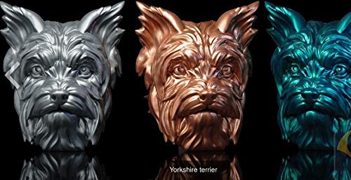 Tamaño: estándar, maravilloso Yorkshire Terrier, Animal, Dog