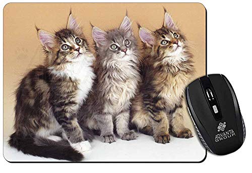 Advanta - Mousemats Gatitos Lindos del Coon de Maine Estera del ratón del Ordenador Regalo de Navida Advanta - Mousemats Gatitos Lindos del Coon de Maine Estera del ratón del Ordenador Regalo de Navida