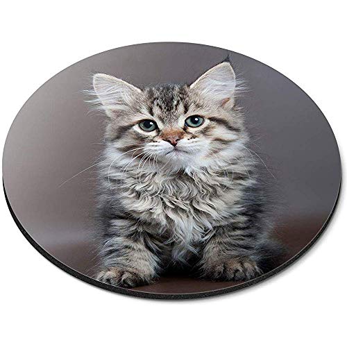 Alfombrilla Redonda para ratón - Regalo de Oficina de Gato atigrado de Gatito de Ojos Verdes