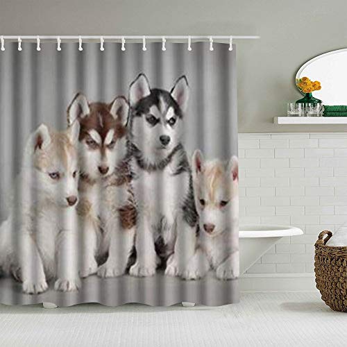 SUHOM Cortina de Ducha,Husky Siberiano Cachorros Perros Mascotas,Tejido de poliéster - con Gancho,180x210