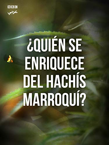 ¿Quién Se Enriquece del Hachís Marroquí? ¿Quién Se Enriquece del Hachís Marroquí?