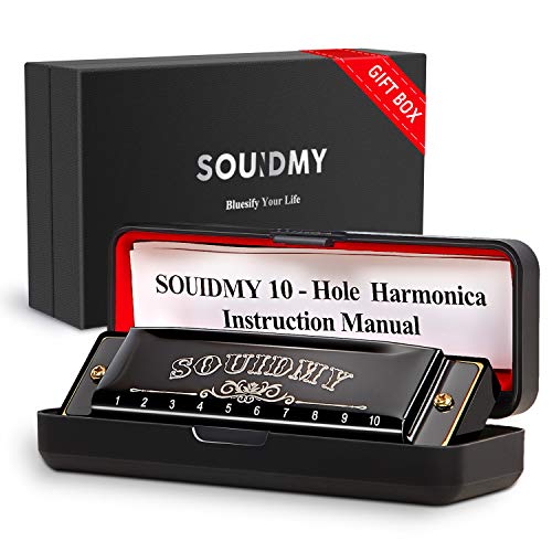 Armonica Souidmy, Blues Harmonica, con caja de regalo, para niños, principiantes, adultos con 10 agujeros 20 tonos, Major C, paño de limpieza, manual (negro)