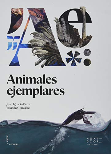 Animales ejemplares: 11 (Lienzos y Matraces)