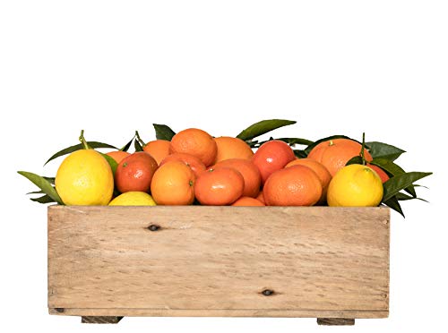 5KG NARANJAS + 5KG MANDARINAS + 4KG LIMONES 5KG NARANJAS + 5KG MANDARINAS + 4KG LIMONES