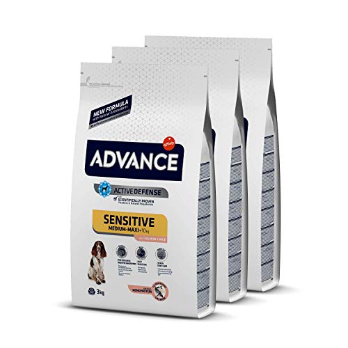 ADVANCE Sensitive Medium-Maxi - Pienso para Perros de Razas Medianas y Grandes con Sensibilidades Digestivas con Salmón y Arroz - Pack de 3 x 3kg - Total 9Kg ADVANCE Sensitive Medium-Maxi - Pienso para Perros de Razas Medianas y Grandes con Sensibilidades Digestivas con Salmón y Arroz - Pack de 3 x 3kg - Total 9Kg