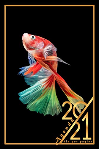 Agenda 2021 dia por pagina: Planificador anual 1 dia por 1pagina-negra (15.24x22.86)cm español 365 dias-con Horas 08:00-20:30 |12 meses enero a ... y mensual , Organizador Calendario 2021 Agenda 2021 dia por pagina: Planificador anual 1 dia por 1pagina-negra (15.24x22.86)cm español 365 dias-con Horas 08:00-20:30 |12 meses enero a ... y mensual , Organizador Calendario 2021