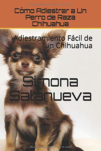 Cómo Adiestrar a Un Perro de Raza Chihuahua: Adiestramiento Fácil de un Chihuahua