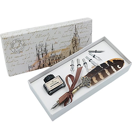 Conjunto de Pluma Conjunto de Bolígrafo y Tinta Pluma Caligrafía Escritura con 6pcs Plumillas de Acero Inoxidable en Caja de Regalo HO-Q-300