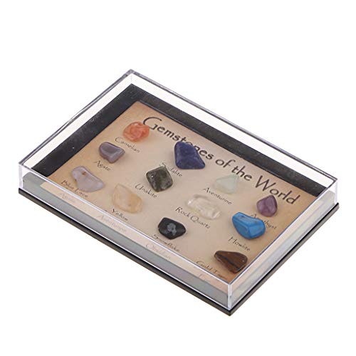 Gazechimp Muestra de Gemas Minerales Minerales Piedras Preciosas - estilo 2 (15 piezas) Gazechimp Muestra de Gemas Minerales Minerales Piedras Preciosas - estilo 2 (15 piezas)