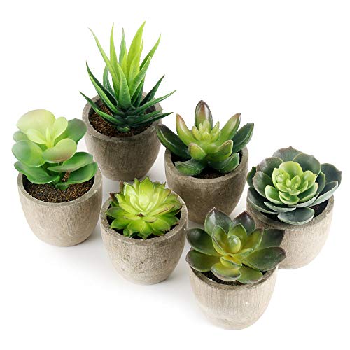GoMaihe Plantas Suculentas Artificiales, 6 Piezas, Planta Artificial Decorativa, Adecuado para El Hogar Oficina Decoración Jardín Baño Cocina Balcón Planta Falsa Decorativas GoMaihe Plantas Suculentas Artificiales, 6 Piezas, Planta Artificial Decorativa, Adecuado para El Hogar Oficina Decoración Jardín Baño Cocina Balcón Planta Falsa Decorativas