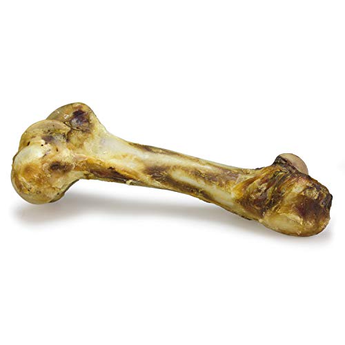 Hueso de buey "Mamut" Hueso de buey "Mamut"