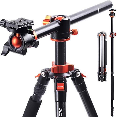 K&F Concept SA254T1 Trípode Cámara Reflex 238cm con 250cm Monopie, 360° y 180° Columna Central Transversal, 360° Rótula de Bola Panorámica y 1/4" Placa Rápida Liberación para DSLR Cámara de hasta 10kg K&F Concept SA254T1 Trípode Cámara Reflex 238cm con 250cm Monopie, 360° y 180° Columna Central Transversal, 360° Rótula de Bola Panorámica y 1/4" Placa Rápida Liberación para DSLR Cámara de hasta 10kg