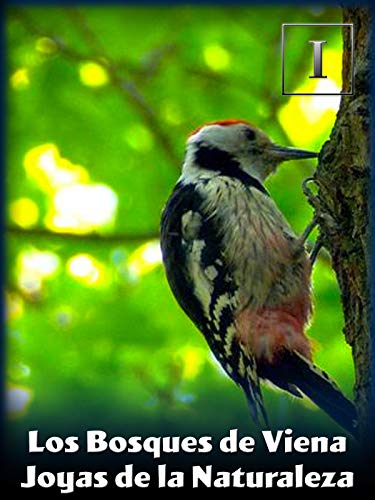 Los Bosques de Viena - Joyas de la Naturaleza Los Bosques de Viena - Joyas de la Naturaleza