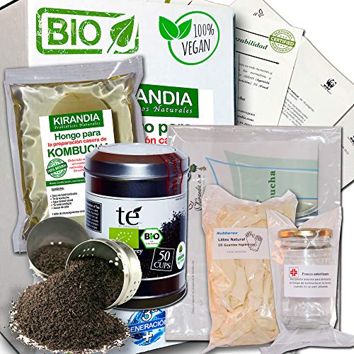LOTE COMPLETO KOMBUCHA FRESCO, SCOBY KOMBUCHA - Con Registro Sanitario (RGSEAA) - Elabora Tu Propio Té de Kombucha Biológico en Casa LOTE COMPLETO KOMBUCHA FRESCO, SCOBY KOMBUCHA - Con Registro Sanitario (RGSEAA) - Elabora Tu Propio Té de Kombucha Biológico en Casa