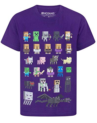 Minecraft Oficial Sprites Boy – Camiseta de Manga Corta para Mujer Morado Morado 12-13 Años Minecraft Oficial Sprites Boy – Camiseta de Manga Corta para Mujer Morado Morado 12-13 Años