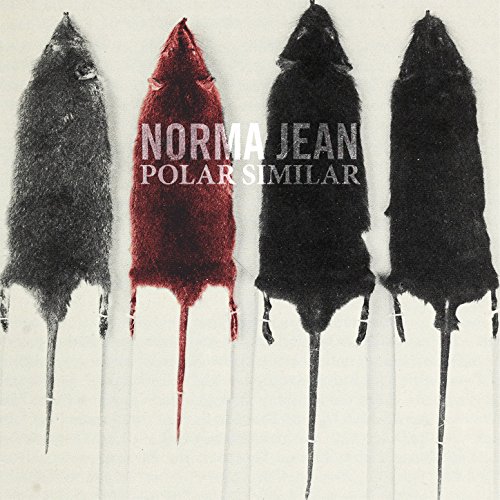 Polar Similar Polar Similar