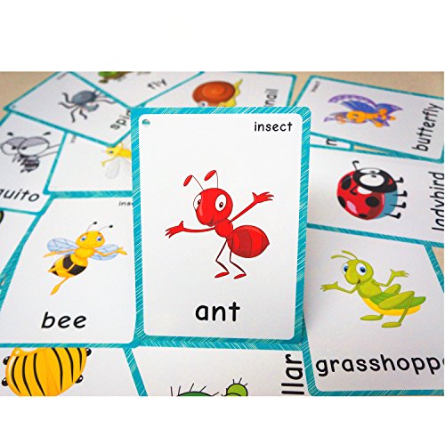 SANCENT 22 Pcs Insect Flash Cards | Memory Game | Preschool Educational Learning English Games & First Words Cards(Basic English Vocabulary Cards & Cards Pocket for Kids ) 12x9cm(inglés)