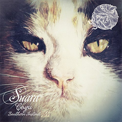 Santiaguito (Recuerdos De Otra Epoca Mix) Santiaguito (Recuerdos De Otra Epoca Mix)