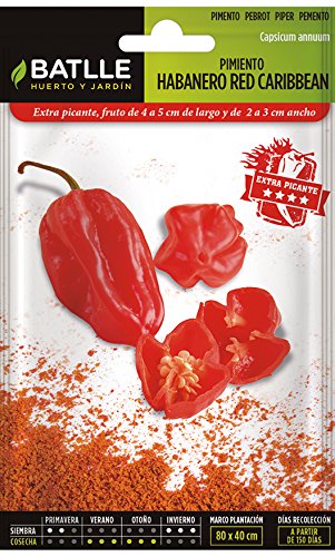 Semillas Hortícolas - Pimiento Habanero Red Caribbean - Batlle Semillas Hortícolas - Pimiento Habanero Red Caribbean - Batlle