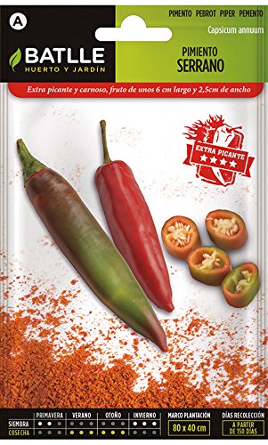 Semillas Hortícolas - Pimiento Serrano - Batlle Semillas Hortícolas - Pimiento Serrano - Batlle