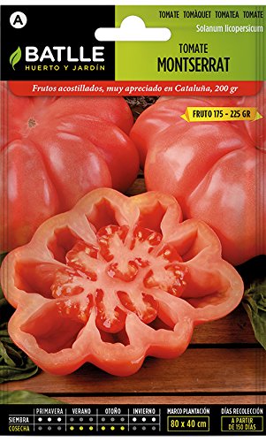 Semillas Hortícolas - Tomate Montserrat - Batlle Semillas Hortícolas - Tomate Montserrat - Batlle