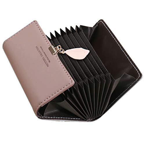 Tarjeteros para Tarjetas de Credito Mujer SAMKING Titular de la Tarjeta de Crédito Carteras de Cuero RFID Monederos con Cremallera (Rosa Profundo) Tarjeteros para Tarjetas de Credito Mujer SAMKING Titular de la Tarjeta de Crédito Carteras de Cuero RFID Monederos con Cremallera (Rosa Profundo)