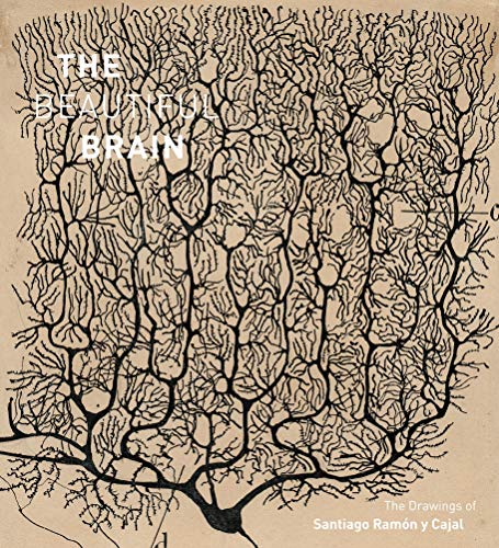The Beautiful Brain: The Drawings of Santiago Ramon y Cajal The Beautiful Brain: The Drawings of Santiago Ramon y Cajal