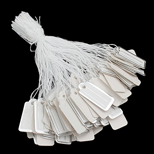 300 etiquetas con hilo para precios, etiquetas de precios, etiquetas para joyas, etiquetas de hilo, etiquetas colgantes de cartón, etiquetas de precio (22 x 11 mm), color blanco y plateado 300 etiquetas con hilo para precios, etiquetas de precios, etiquetas para joyas, etiquetas de hilo, etiquetas colgantes de cartón, etiquetas de precio (22 x 11 mm), color blanco y plateado