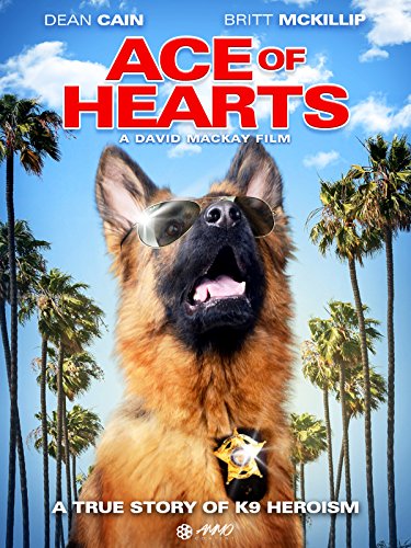 Ace of Hearts Ace of Hearts