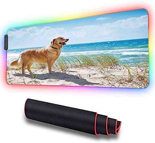 Alfombrilla de ratón RGB para juegos, Golden Retriever en Sandy Dune O, Alfombrilla de ratón grande extra larga LED suave,, Alfombrilla de ratón para teclado de computadora