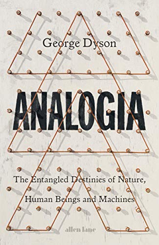 Analogia: The Entangled Destinies of Nature, Human Beings and Machines (English Edition)