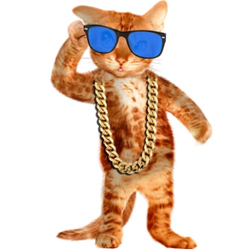 Bienes gato que habla Bienes gato que habla