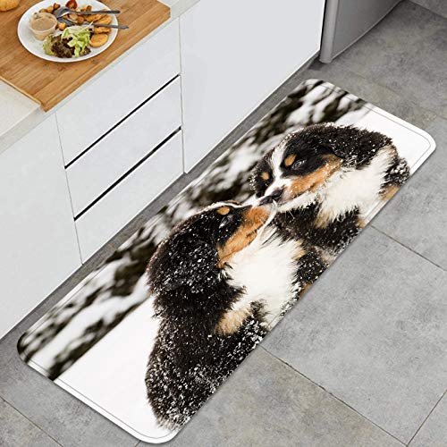 Blived Alfombra de Cocina Antideslizante,títeres de Perro de montaña bernés nevados olfatear,Estera de Cocina Felpudos Decorativo Alfombra para Dormitorio Baño Pasillo 45 x 120cm