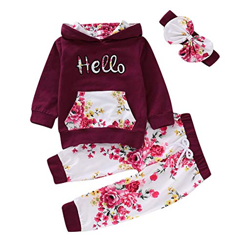 Borlai Bebé niña Floral con Capucha Traje de chándal Sudadera Pantalones Conjunto de Ropa 1-5 años (Rojo púrpura, 2-3 años) Borlai Bebé niña Floral con Capucha Traje de chándal Sudadera Pantalones Conjunto de Ropa 1-5 años (Rojo púrpura, 2-3 años)