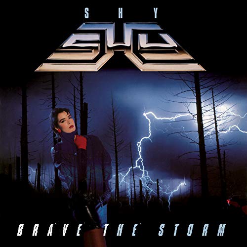 Brave The Storm Brave The Storm