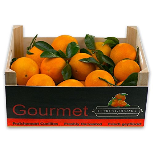 Caja de Naranjas Valencianas de Zumo 12 Kgs Caja de Naranjas Valencianas de Zumo 12 Kgs
