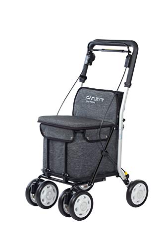 Carlett Carro DE LA Compra-Andador Lett 800 con Asiento, Coleccion 2020, Gris TXT, Grey,