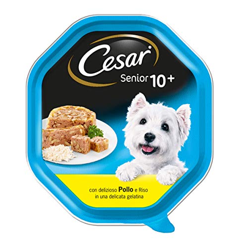 Cesar Senior 10+ Comida para Perro con Delicioso Pollo y arroz en una Delicada gelatina 150 g – 14 bandejas