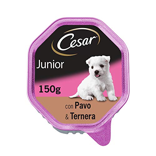 Cesar Tarrina de Comida Húmeda para Perros Cachorros Sabor Pavo (Pack de 14 x 150g)